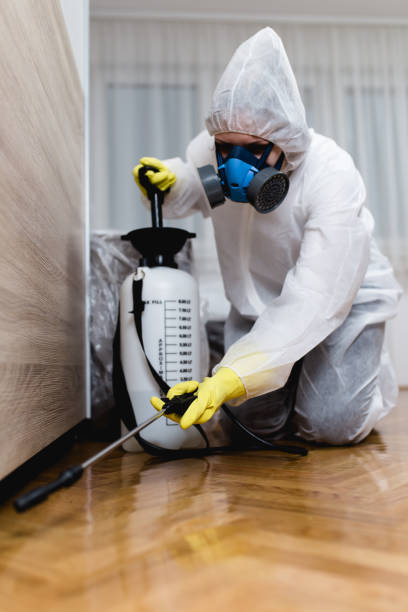 Professional Pest Control in Chevy Chase View, MD